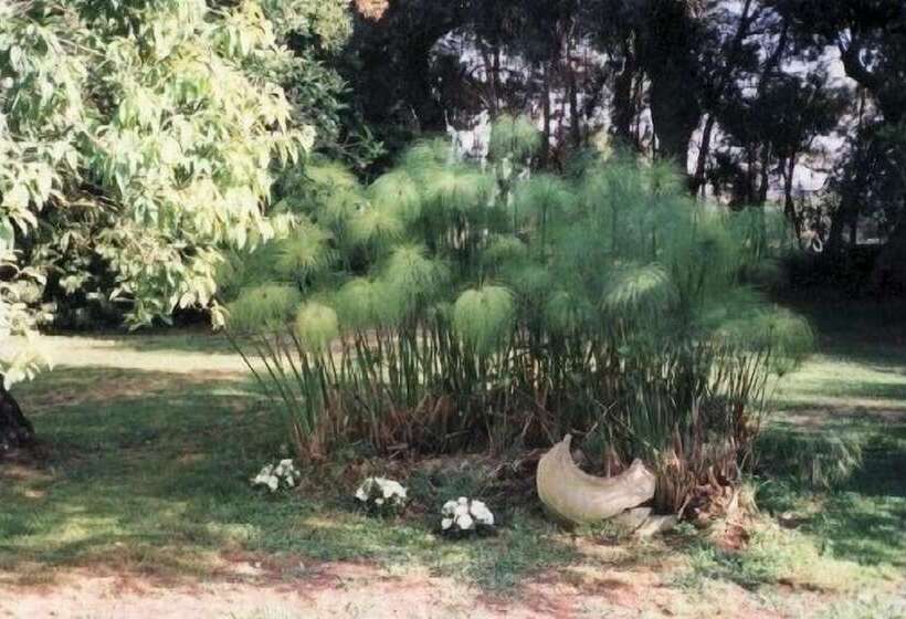 Отель Masseria Case Damma