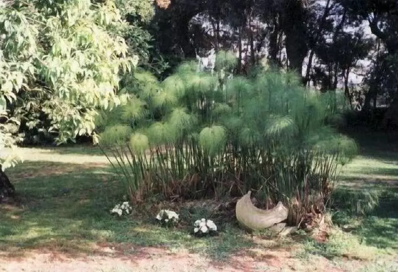 호텔 Masseria Case Damma