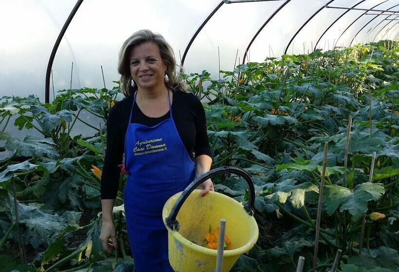 Отель Masseria Case Damma