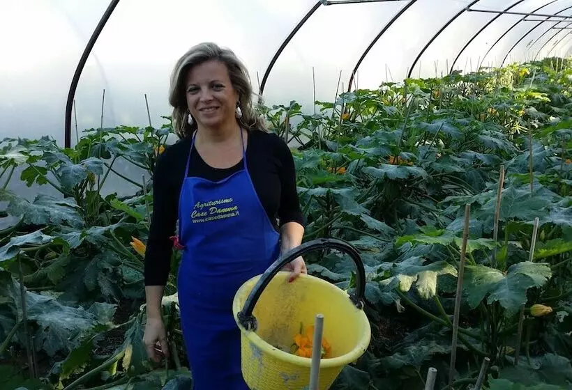 호텔 Masseria Case Damma