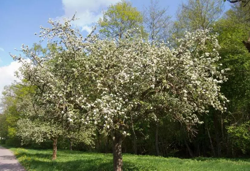 Отель Restaurant Bären