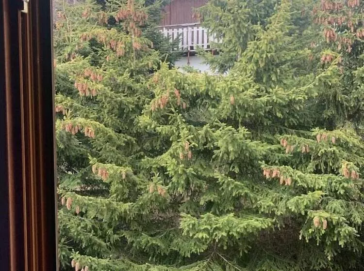 هتل S Les Catrems & Le Montagnou