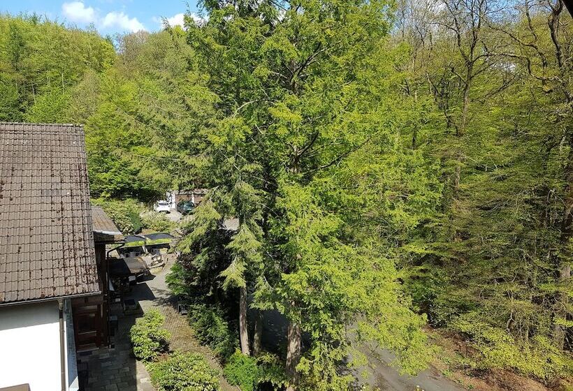 Отель Siegerland