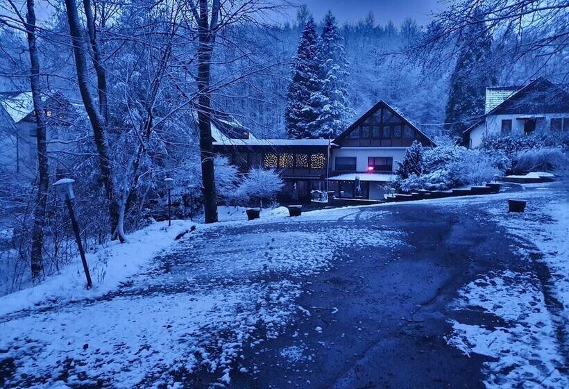 Отель Siegerland