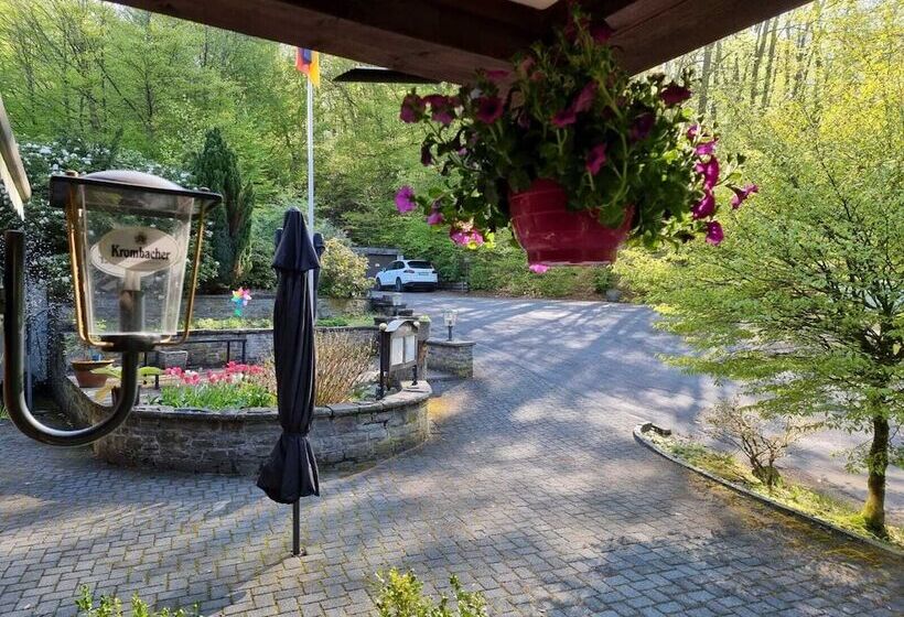 Отель Siegerland