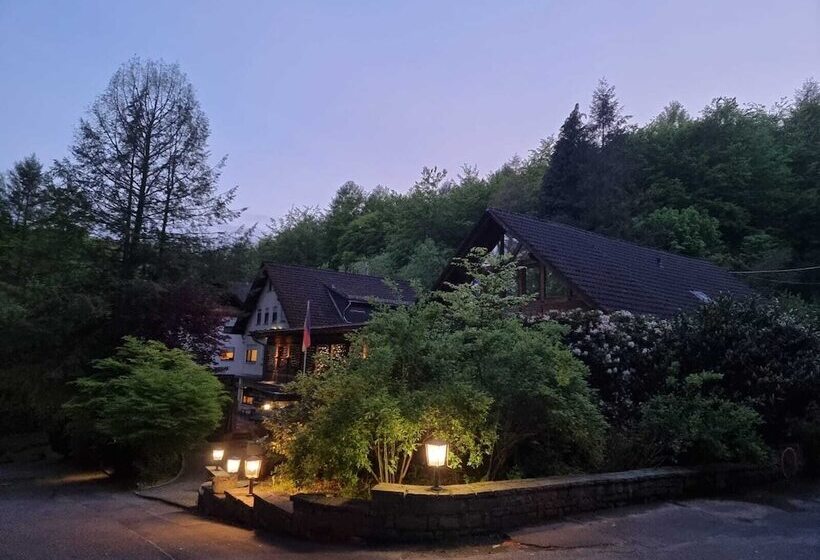 Отель Siegerland