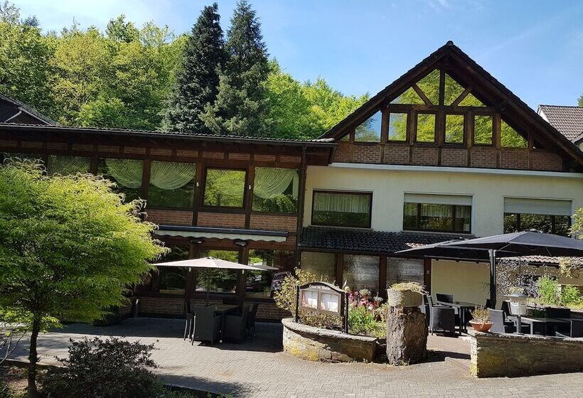 Отель Siegerland