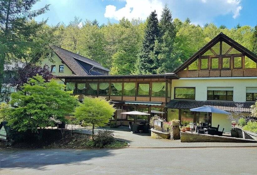 Отель Siegerland