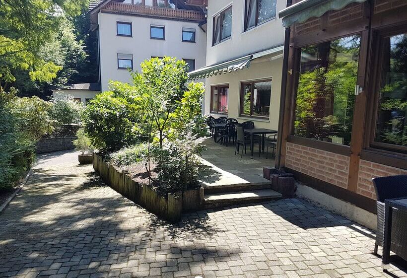 Отель Siegerland