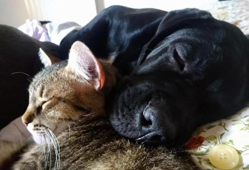 B&b Da Paolo Con Vista Lago Di Garda