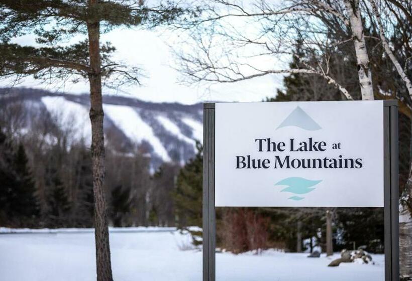 モーテル Boutique Suite #5