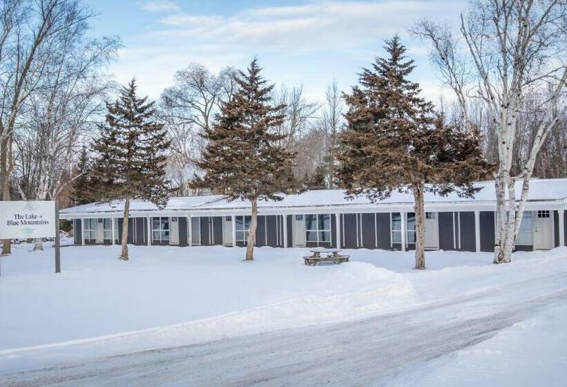 モーテル Boutique Suite #5