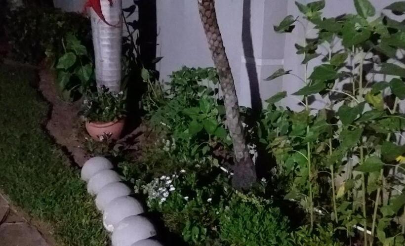 פנסיון Dunbar Mellow 2