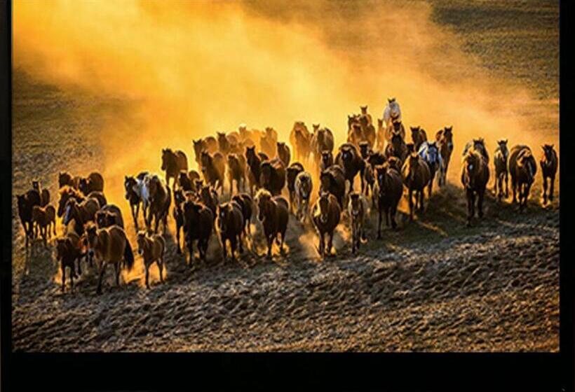 Hotel Royal Garden Kisarazu / Vacation Stay 72215