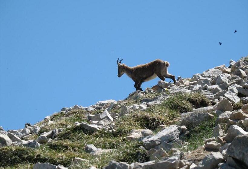 צימר Gîte Et Chambre D Hôte
