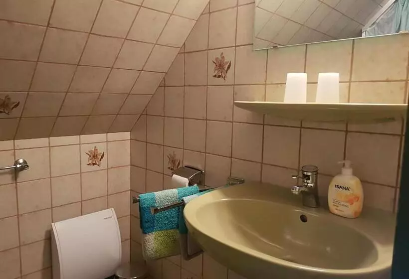 Aamiaismajoitus (B&B) Hausnordlicht Dachspitze