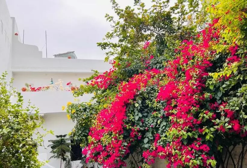 ペンション Mosaics Guest House