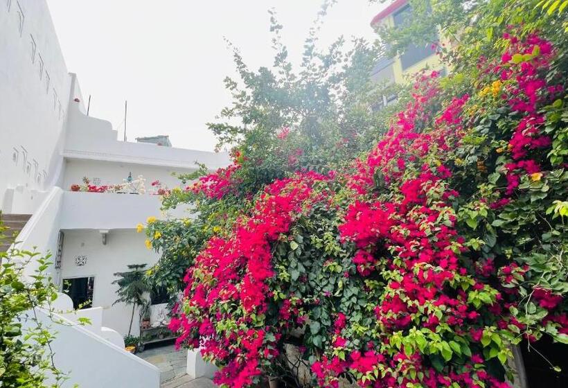 ペンション Mosaics Guest House