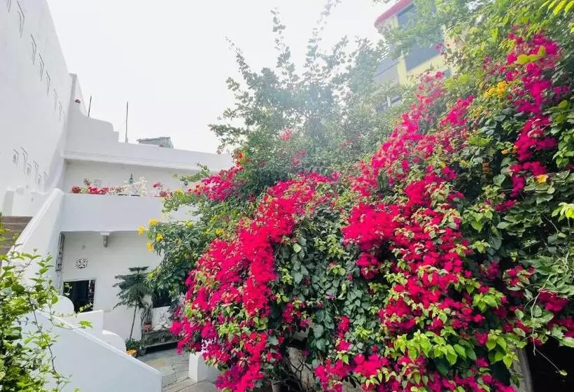 ペンション Mosaics Guest House