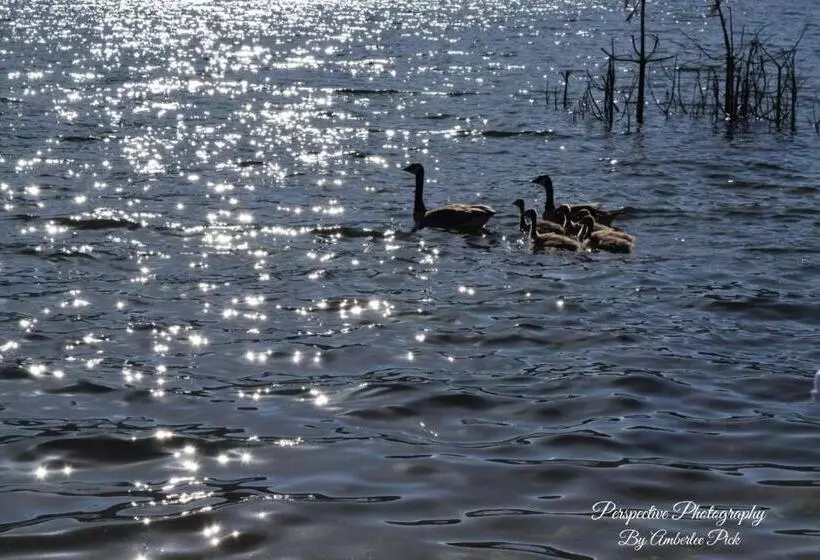 Majatalo Yosemite Foothill Retreat