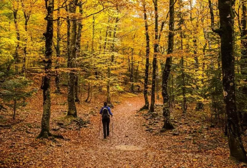 ホテル Familiar Maximina