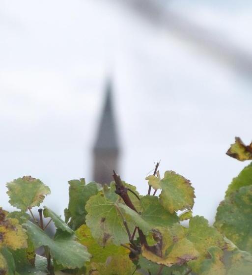 ペンション Marcia Donatti   A L Ombre Des Coteaux Sao Paulo