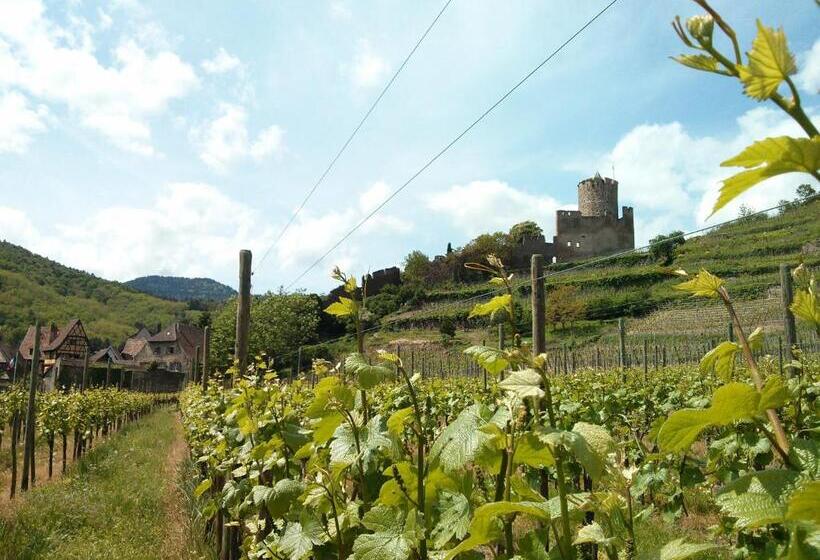 ペンション Marcia Donatti   A L Ombre Des Coteaux Sao Paulo