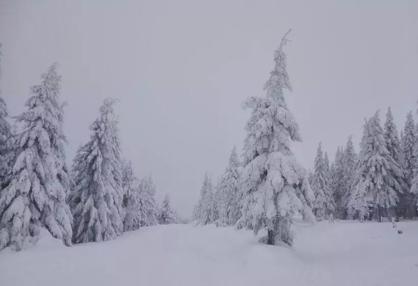 Majatalo Penzion Severka