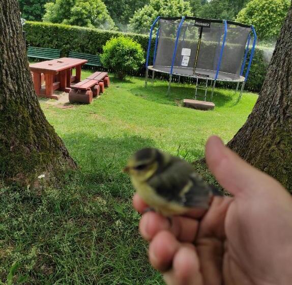 ペンション Penzion Severka