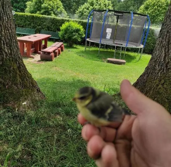 Majatalo Penzion Severka