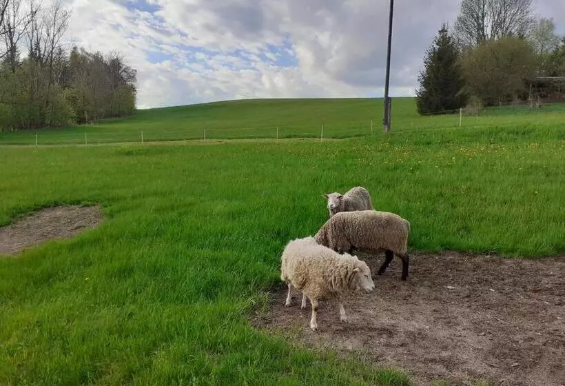 Majatalo Penzion Severka