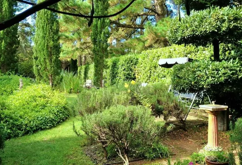 ペンション Southdown Cottage