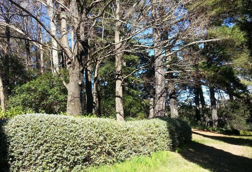 ペンション Southdown Cottage