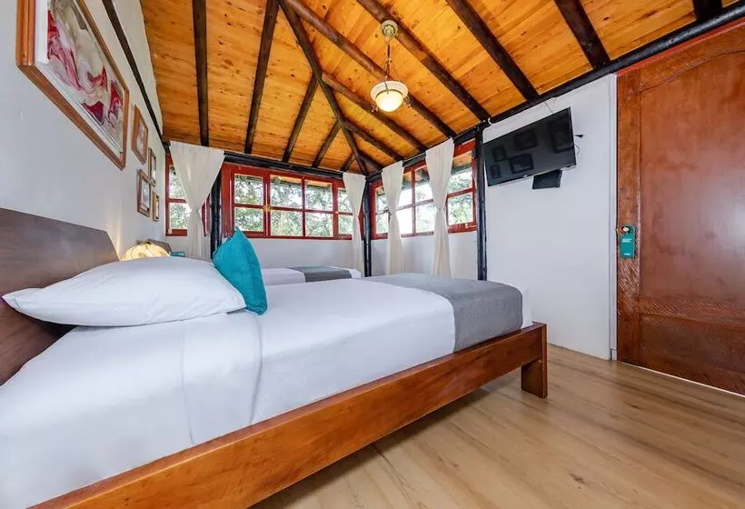 ホテル Ayenda Llanogrande Inn