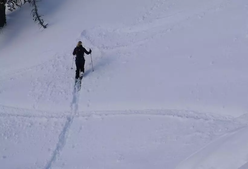 هتل Continental Dolomites