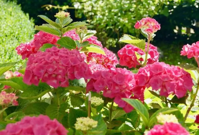 Hotelli Garni Auszeit