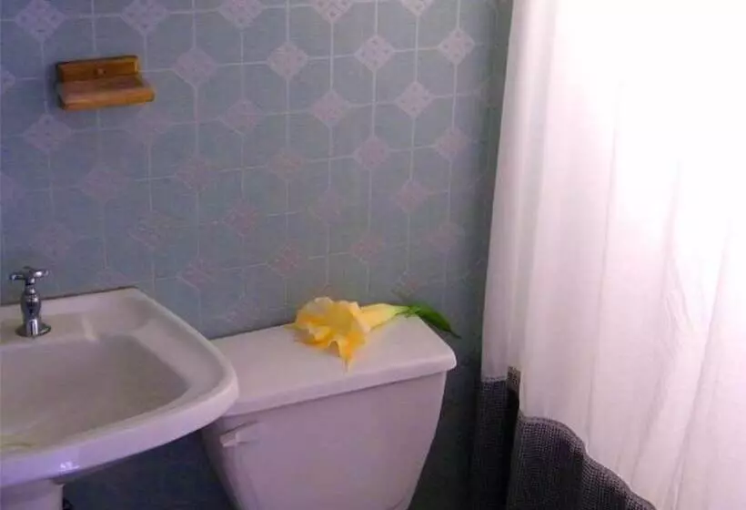 Hotell Hostal Noa Ariki