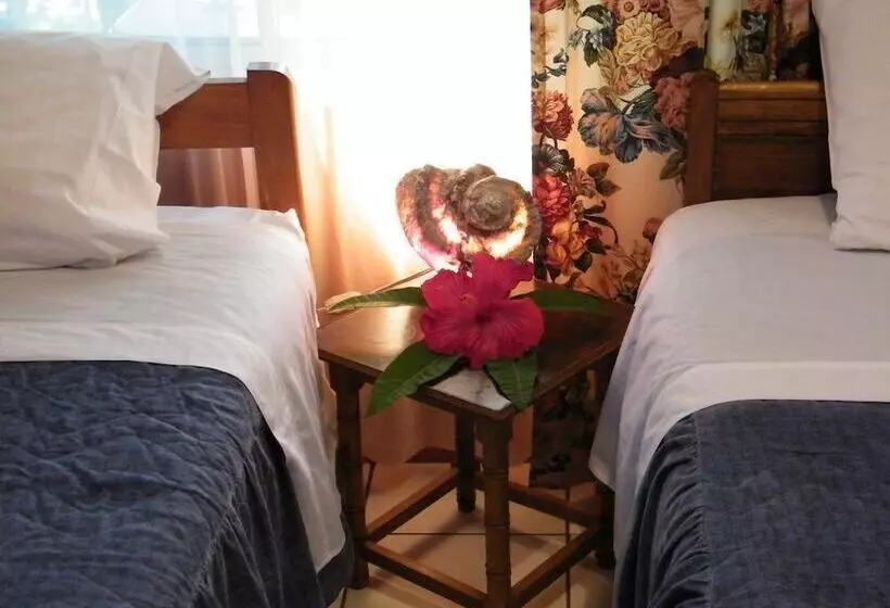 Hotell Hostal Noa Ariki