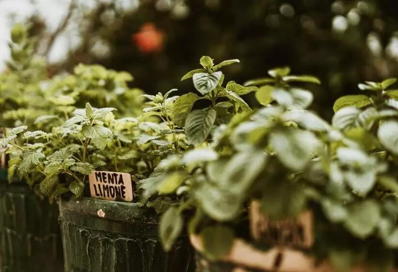 Boutique Hotel I Cinque Balconi