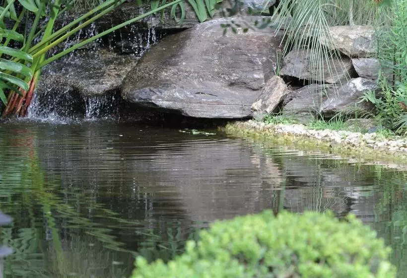 ホテル Pousada Surucuá