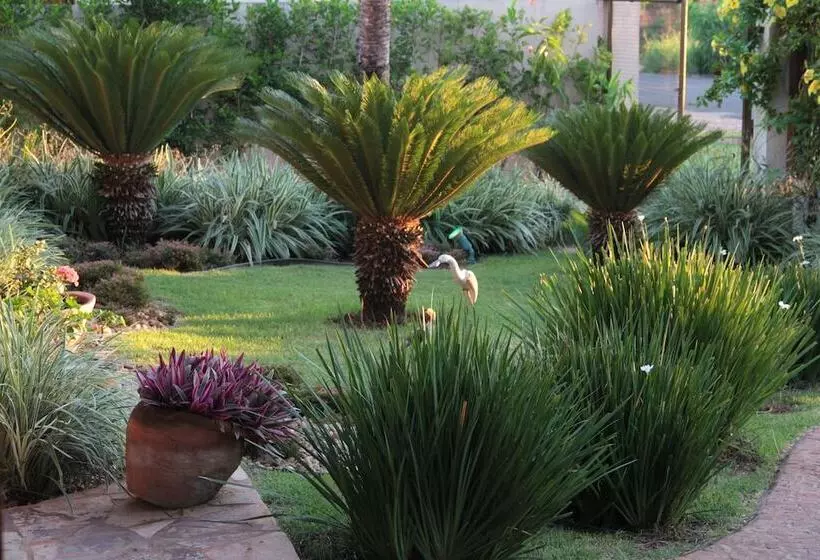 ホテル Pousada Surucuá