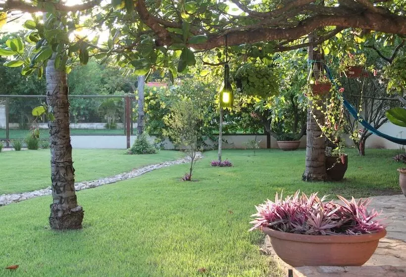 ホテル Pousada Surucuá