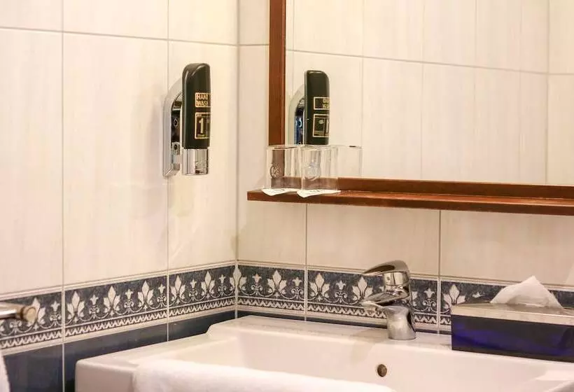 Saillant Hotel Gulpenerland Auping Hotel Partner