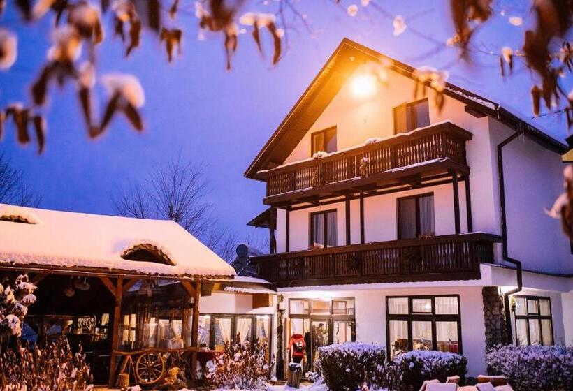 هتل Pensiunea Ghiocelul