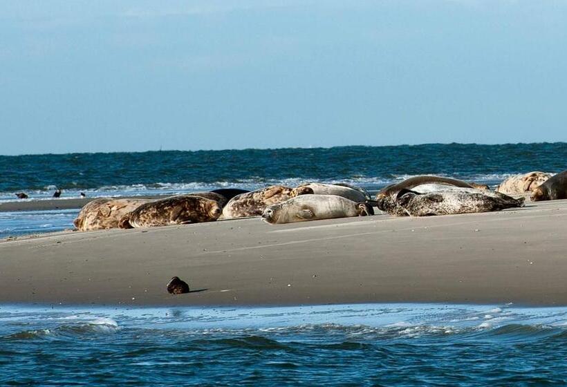 Insel Land Hotel Michaelsen Im Ostland