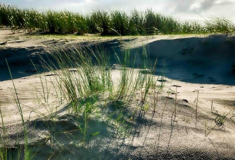 Insel Land Hotel Michaelsen Im Ostland