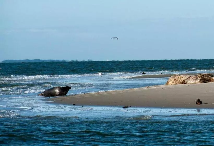 Insel Land Hotel Michaelsen Im Ostland