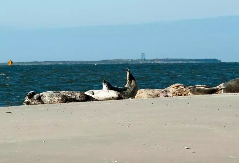 Insel Land Hotel Michaelsen Im Ostland