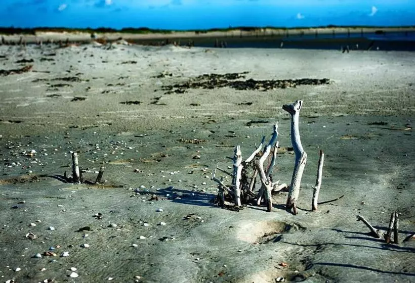 Insel Land Hotel Michaelsen Im Ostland