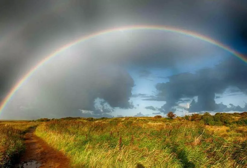 Insel Land Hotel Michaelsen Im Ostland